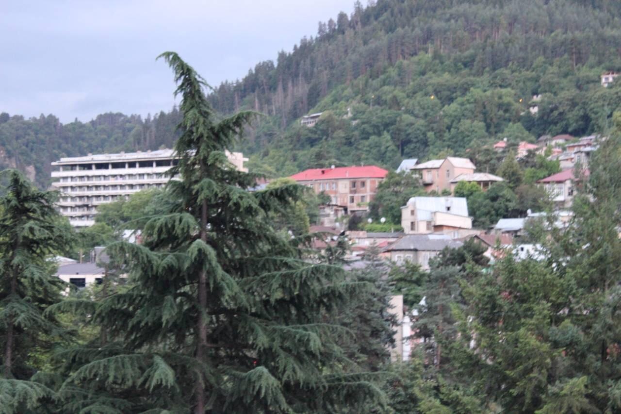 Diasamidzeebi Apartment Borjomi Exterior foto