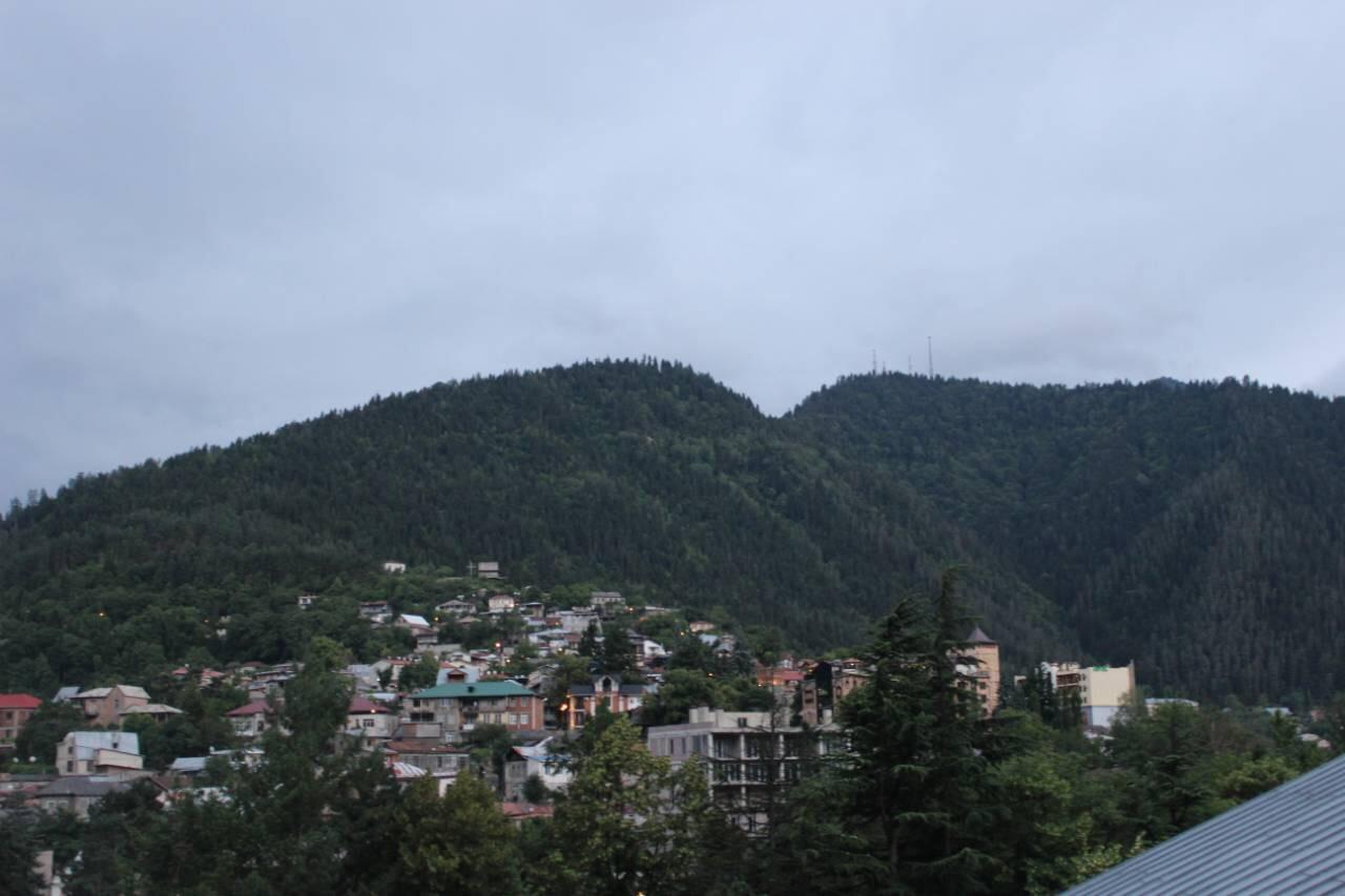 Diasamidzeebi Apartment Borjomi Exterior foto