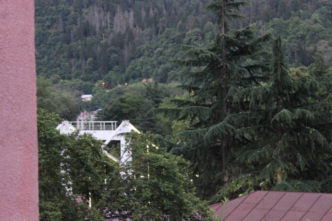 Diasamidzeebi Apartment Borjomi Exterior foto